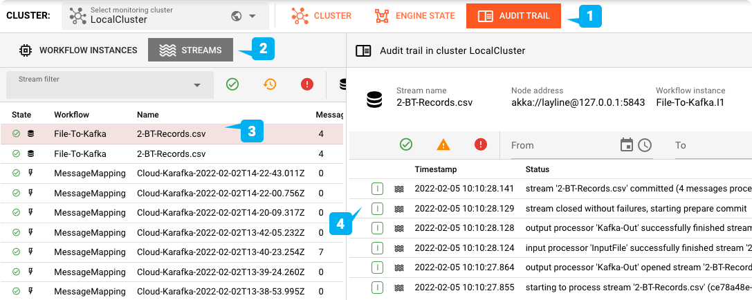Checking Audit Trail for successful processing status